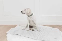 Chloe Mini Blanket Gingham -Fashion Bedding Store 0G3A2858