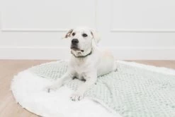 Chloe Mini Blanket Gingham -Fashion Bedding Store 9jyZhXCd