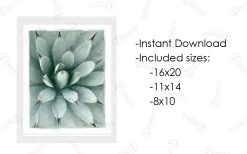 Painted Agave Artwork Download -Fashion Bedding Store PaintedAgavePreview InlcudedSizes