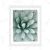 Painted Agave Artwork Download -Fashion Bedding Store PaintedAgavePreview Main