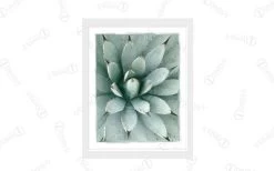 Painted Agave Artwork Download
