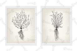 Roots Artwork Download
