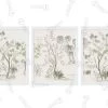 Sapling Artwork Download 1 Sapling Artwork Download -Fashion Bedding Store SaplingsPREVIEW