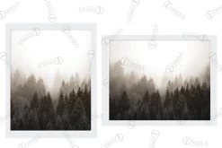 Thicket Artwork Download