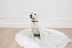 Chloe Mini Blanket Gingham -Fashion Bedding Store kaRYDXvl